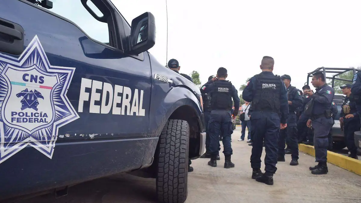 policía-federal-ilustrativa (1)